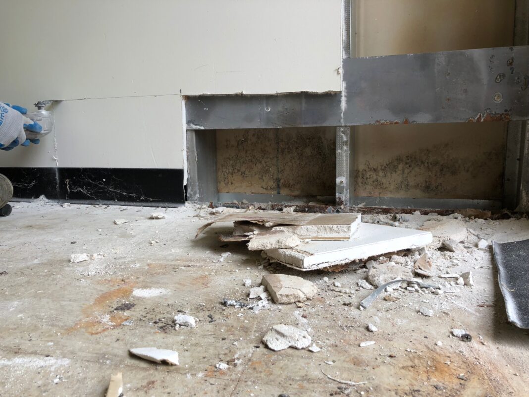 Can mold come back after remediation?
