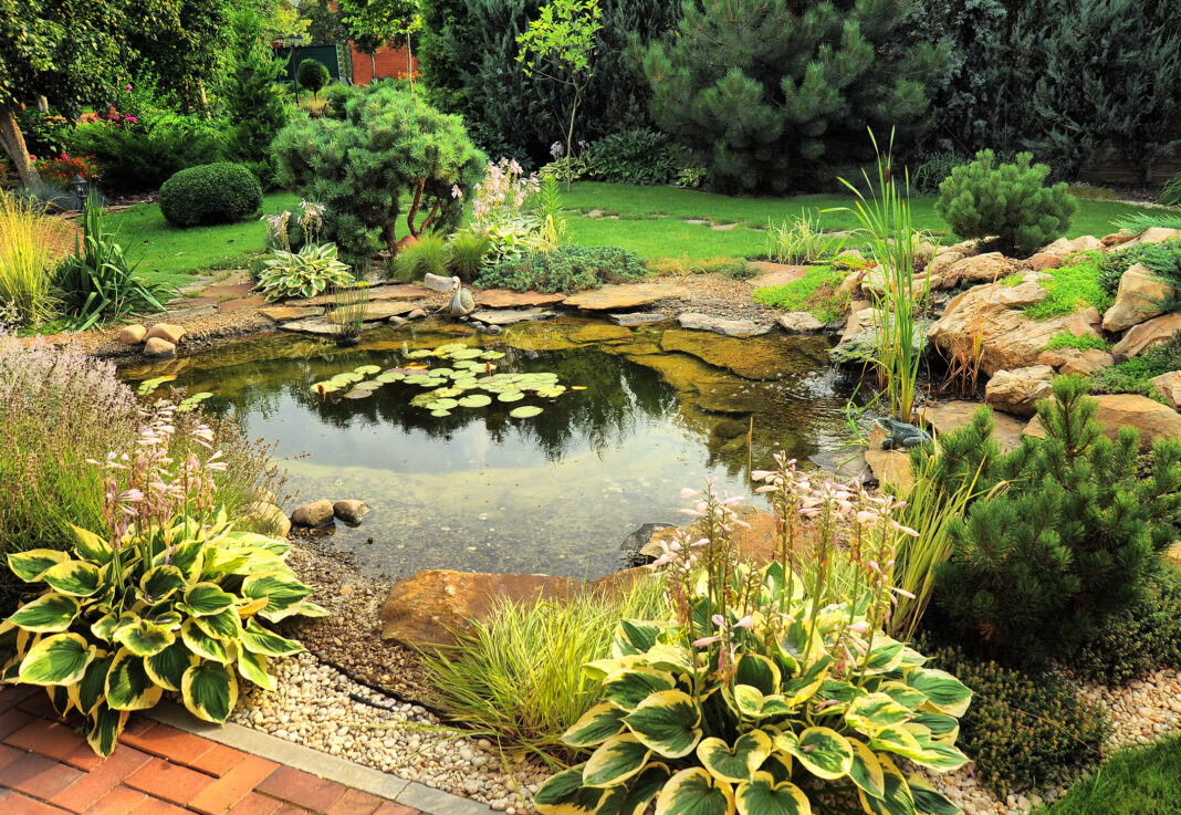 How do I keep my natural pond clean and clear?