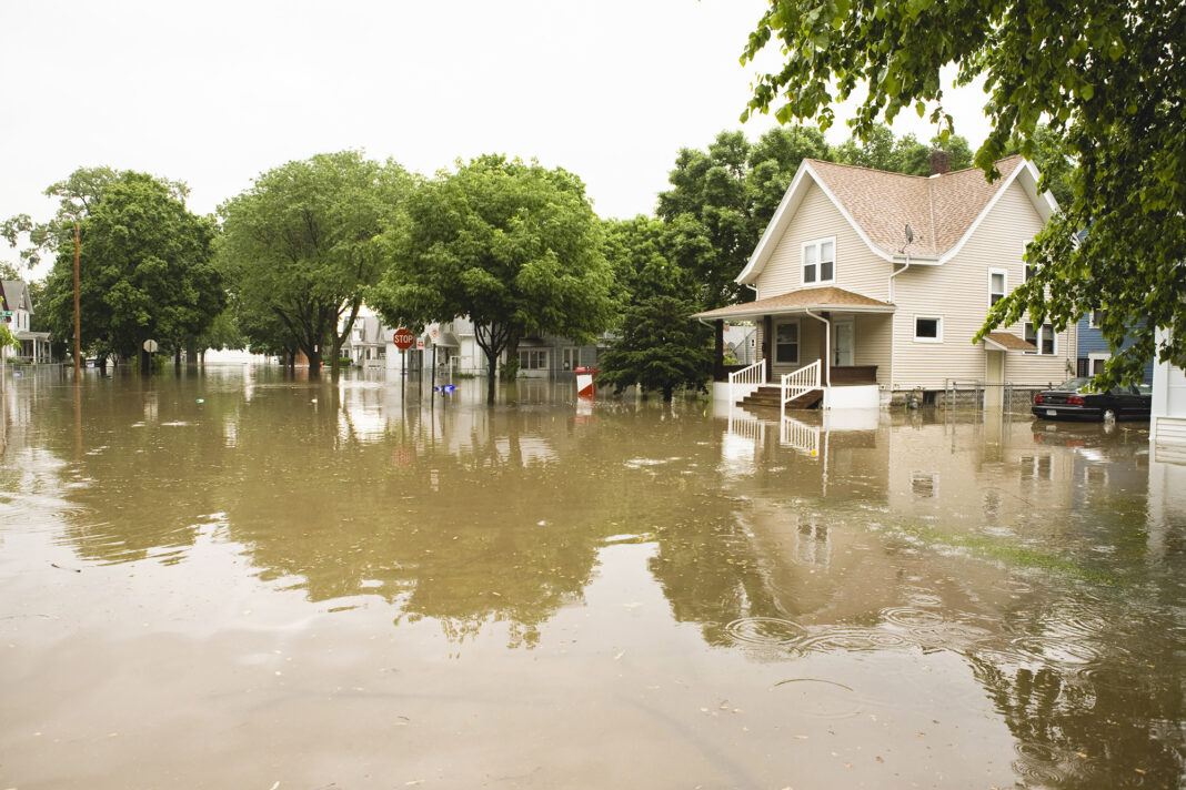 How quickly does mold grow after a flood?