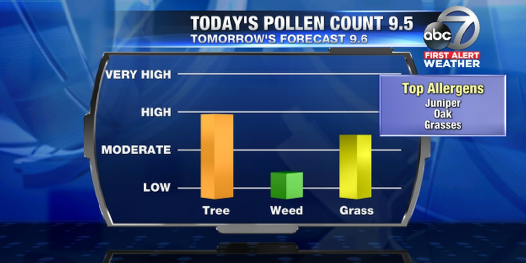 What time of day is pollen highest?